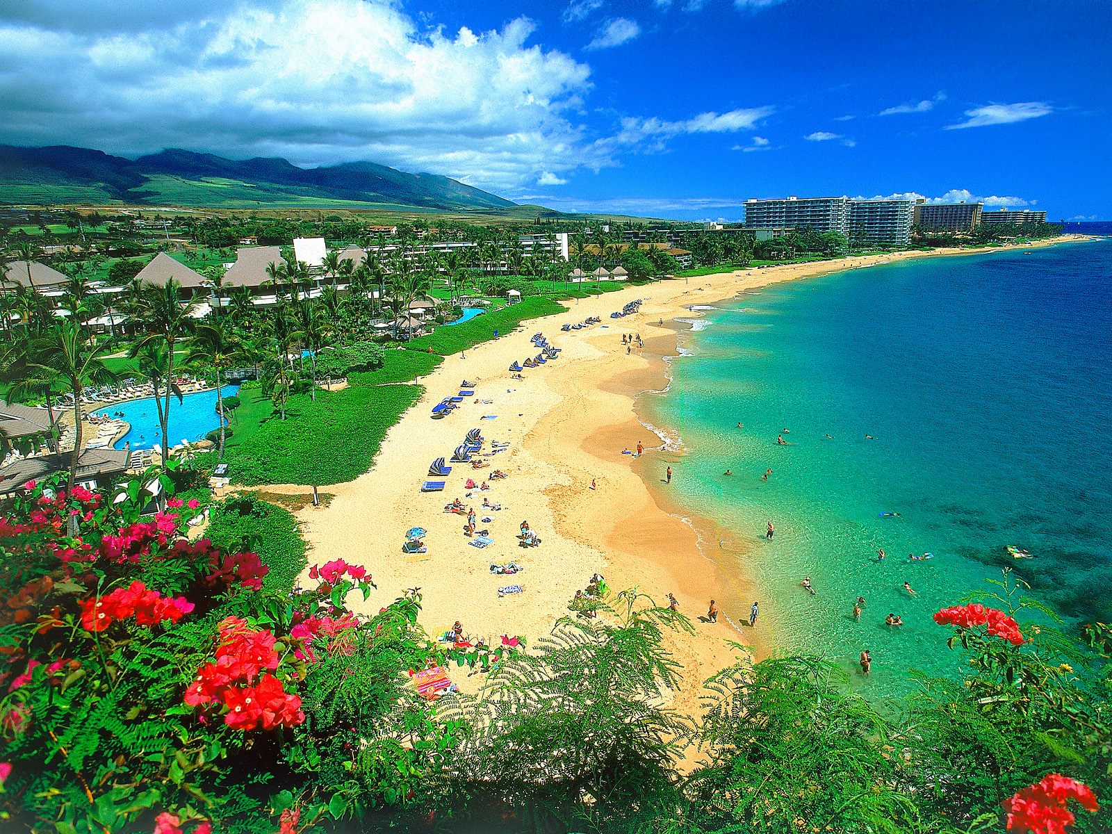 見たら行きたくなる ハワイの綺麗すぎる壁紙画像まとめ Kutie