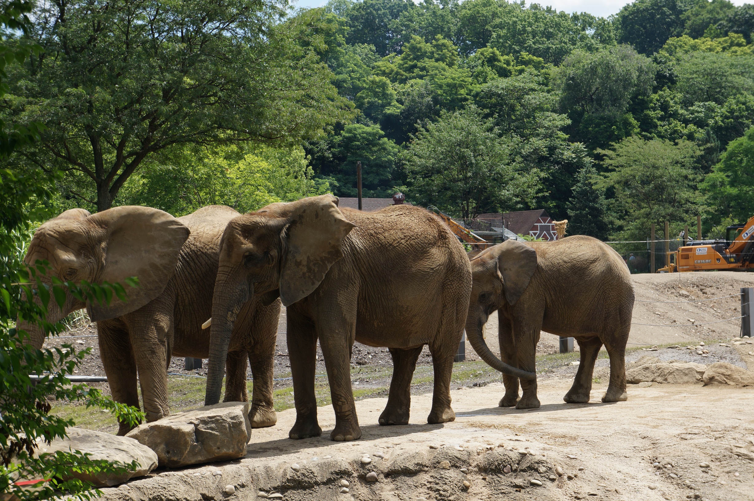 A Day at The Pittsburgh Zoo & PPG Aquarium